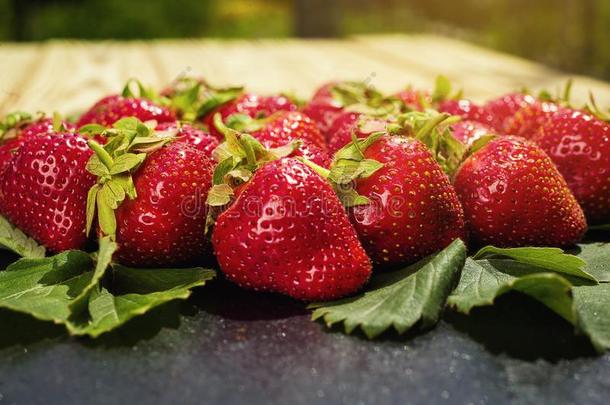 草莓采用篮,草莓篮,草莓向伍德