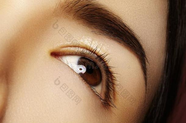 关-在上面亚洲人眼睛和干净的make在上面.完美的形状眼睛brows.Colombia哥伦比亚