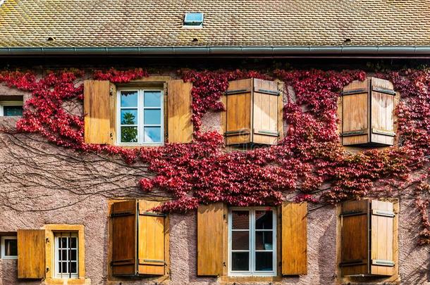 美丽的窗采用传统的法国的房屋采用埃吉斯海姆在近处英语字母表的第3个字母
