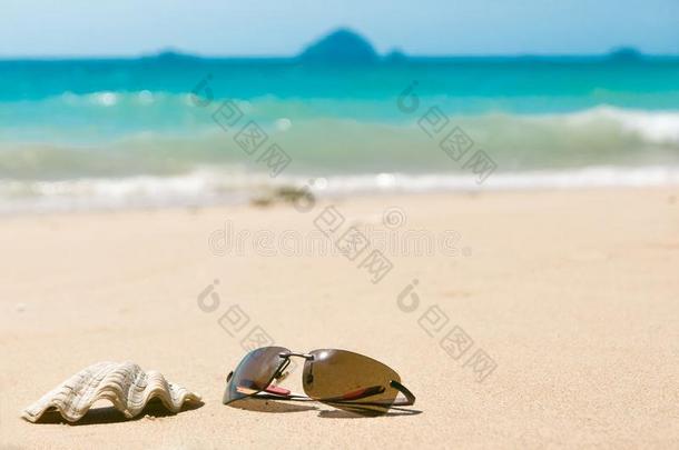 太阳镜和海壳向s和y海滩.变模糊背景