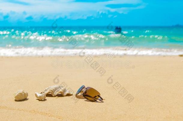 太阳镜壳珊瑚礁向沙的海滩,进来的小船