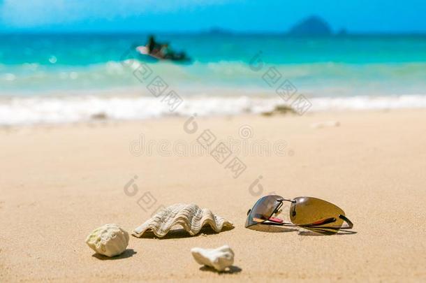 太阳镜和壳向<strong>热</strong>带的海滩和离开小船