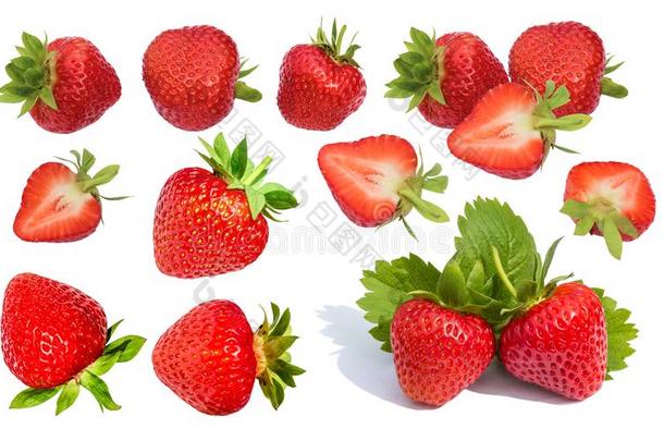 草莓.收集关于全部的和将切开草莓