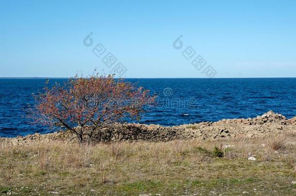 波罗的海的海岛Ã陆地,瑞典