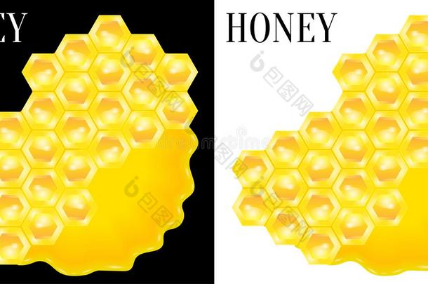 蜂窝采用水坑关于甜的蜜蜂<strong>蜂蜜</strong>.矢量