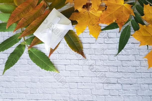 树叶秋白色的砖墙