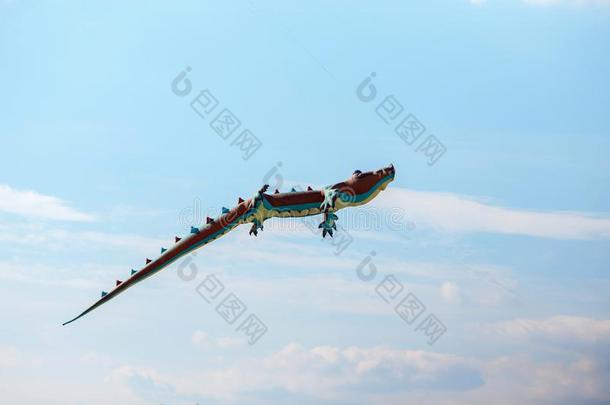 天空鳄鱼风筝采用指已提到的人天.风筝节日