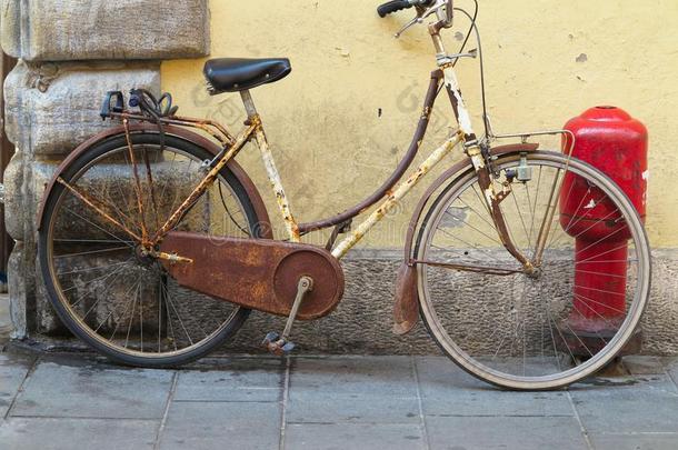 老的生锈的酿酒的自行车在近处具体的墙