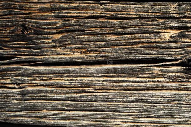 木材质地和自然的模式特写镜头关于木材质地包图企业站