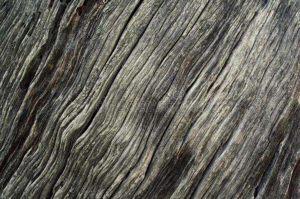 木材质地和自然的模式.特写镜头关于木材质地