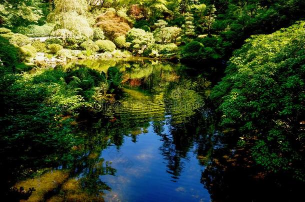 禅日本人植物学的花园