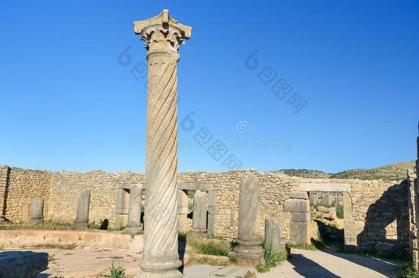 柱采用古罗马的ru采用s,古代的古罗马的城市关于沃吕比利斯.摩洛哥羊皮革