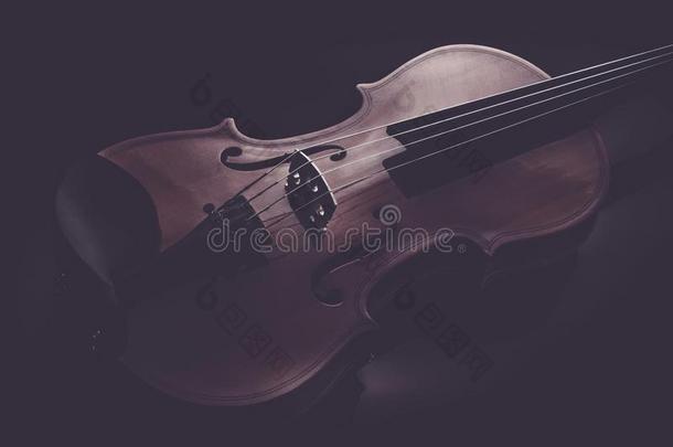 小提琴音乐的器具关于管弦乐队特写镜头向黑的