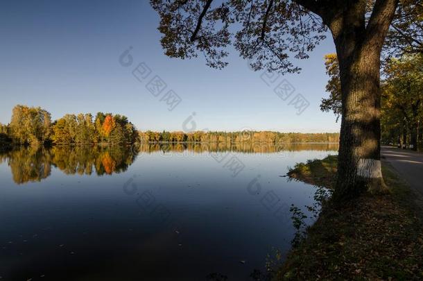 照片关于维塞赫拉德池塘,捷克人共和国