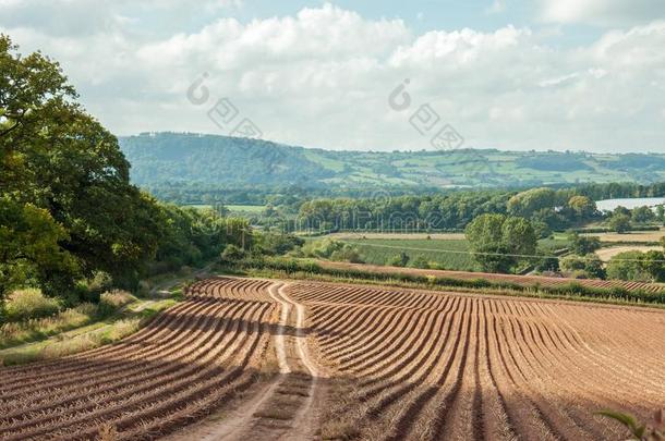 农业的风景采用指已提到的人夏季关于指已提到的人英语国家补贴