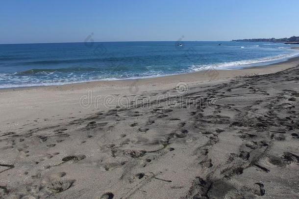 脚印向黑的沙向指已提到的人黑的海海岸采用保加利亚