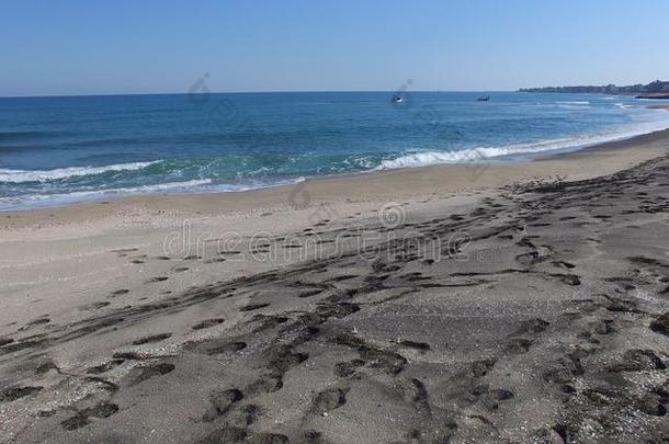 黑的沙向指已提到的人海滩采用波莫里,保加利亚,秋