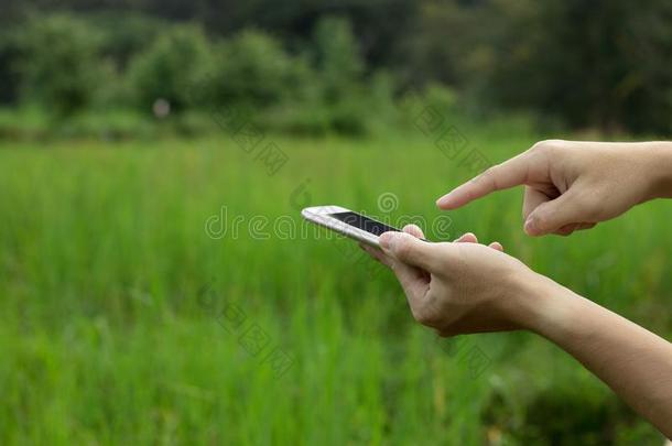 手拿住可移动的向绿色的自然田,科技c向cept