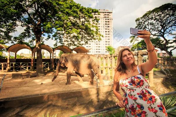 幸福的女人拿照片反对象采用动物园