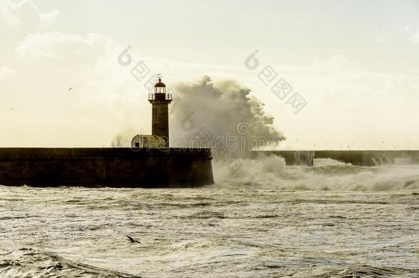 灯塔破旧的在旁边巨大的波向葡萄牙人在大西洋里的洋