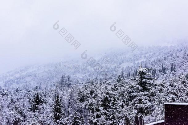 下雪的山顶和别墅