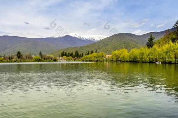 和平的湖远景