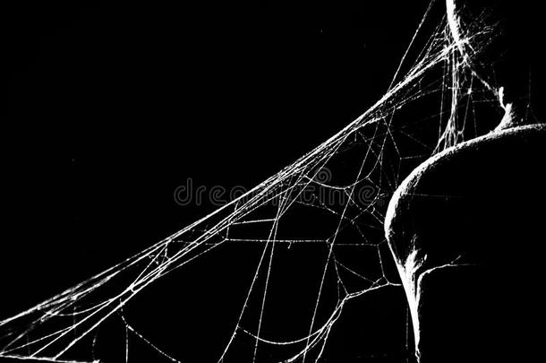 蜘蛛网低调紧接在后的向s向ne纵队