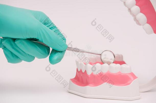 牙科医生使用镜子检查牙齿的模型或牙模型