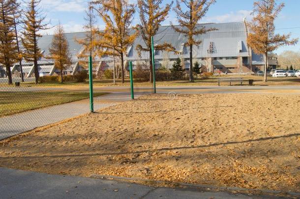 阵亡者树叶向指已提到的人沙操场为排球采用指已提到的人公园