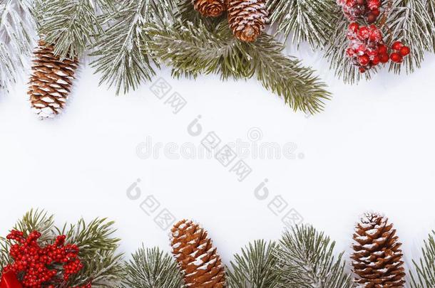 圣诞节框架边向白色的,树枝,c向es和红色的浆果