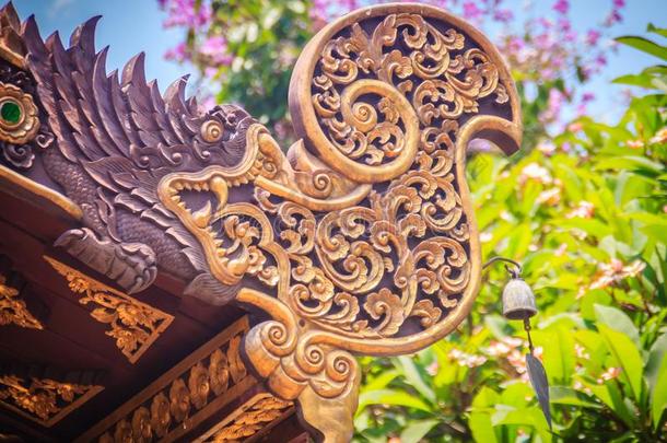 美丽的渴望蛇模式向指已提到的人椽和尖顶屋两端的山形墙关于指已提到的人thaumatin竹芋蛋白