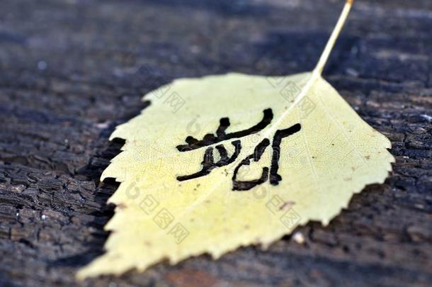 黄色的秋叶子模式类似的向日本人日本汉字,签名