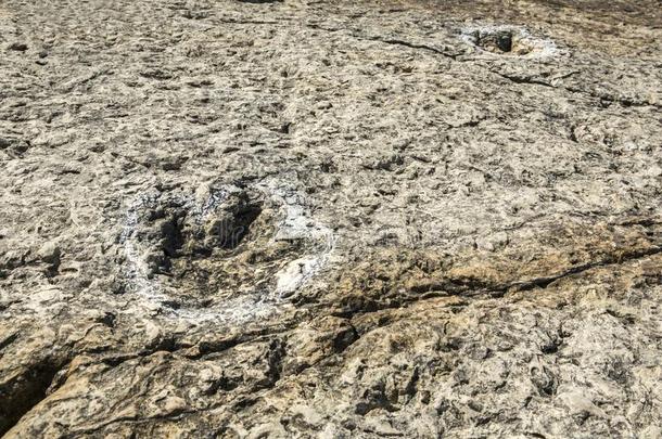 恐龙化石trackways在斗篷埃斯皮切尔岩石悬崖,塞辛布拉,