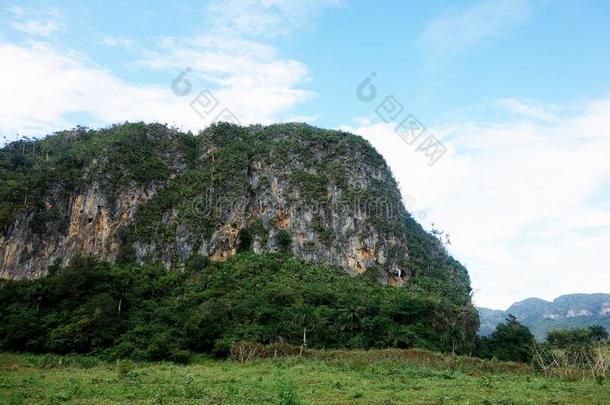 万岁山谷古巴加勒比海库巴地毯UnitedNationsEducational雪茄