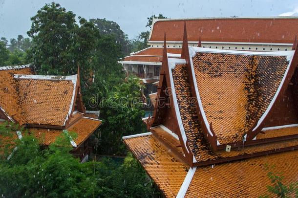 强的热带的倾盆大雨采用泰国