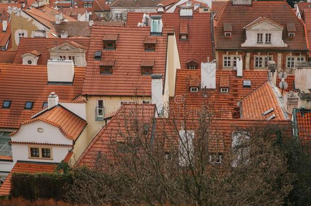 典型的屋顶采用布拉格.顶看法-屋顶和红色的瓦片采用老的