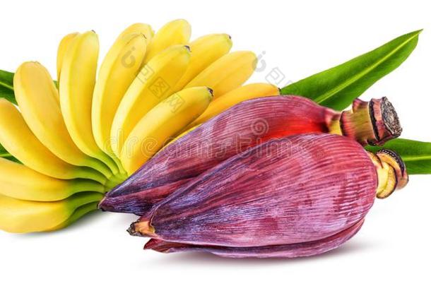 香蕉和香蕉花隔离的