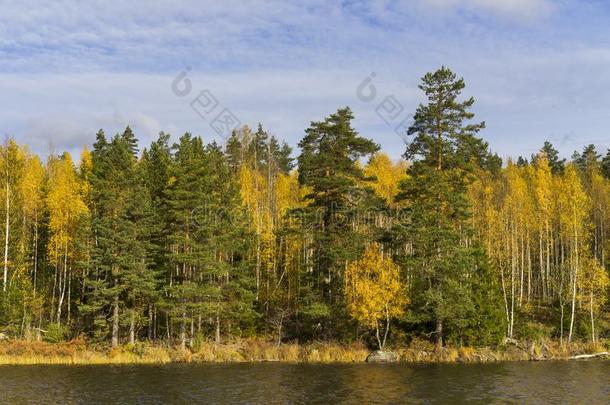 瑞典在户外在美丽的十月秋一天