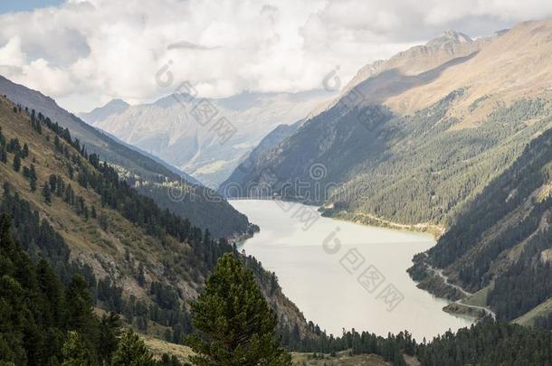 山,山峰,永久的冰和树l和scape