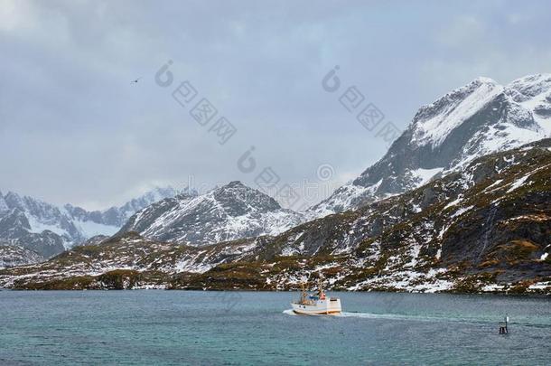 捕鱼船采用峡湾采用挪威