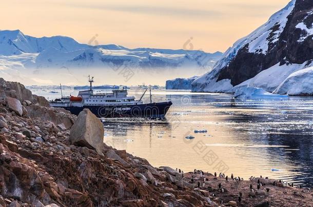 南极的巡游船经过冰山和巴布亚企鹅企鹅在这里