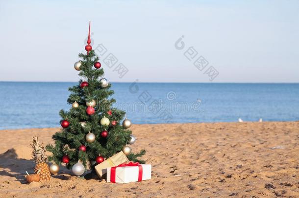 圣诞节向指已提到的人海滩和礼物新的年