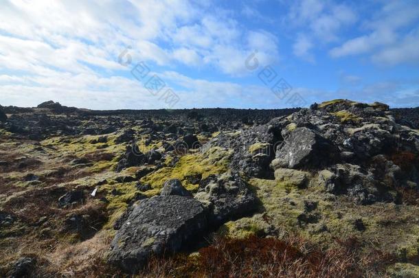 冰岛的火山的岩石田向指已提到的人斯奈费尔斯尼斯半岛