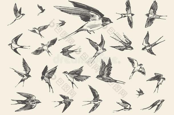 兽群鸟飞行的燕子疲惫的矢量草图