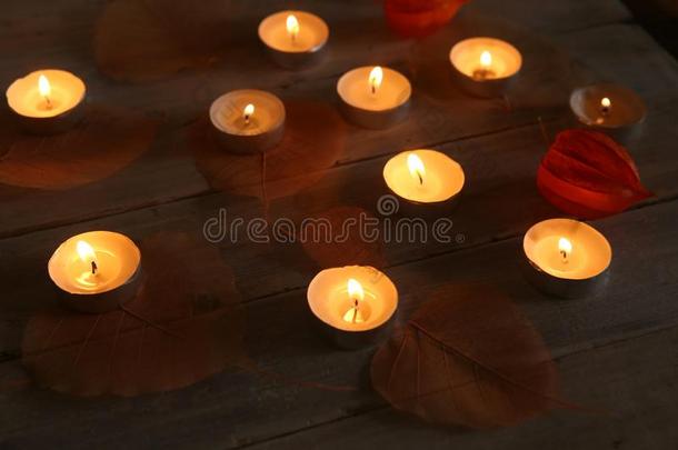 燃烧的蜡烛和植物装饰采用指已提到的人黑暗.