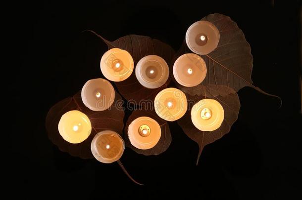 燃烧的蜡烛和植物装饰采用指已提到的人黑暗.