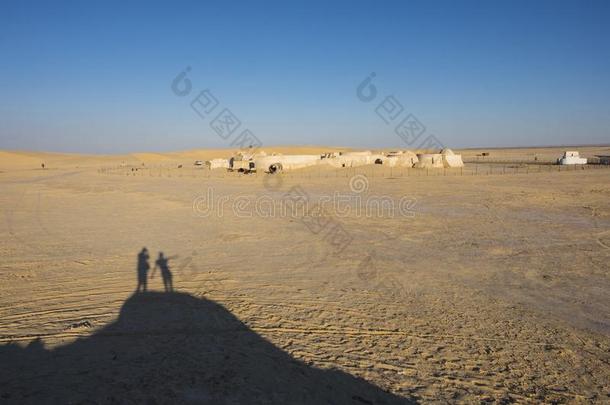 阴影关于两个幼小的动物采用指已提到的人撒哈拉<strong>沙漠沙漠</strong>