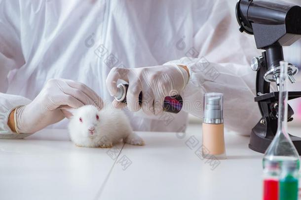 指已提到的人科学家做动物实验采用实验室和兔子