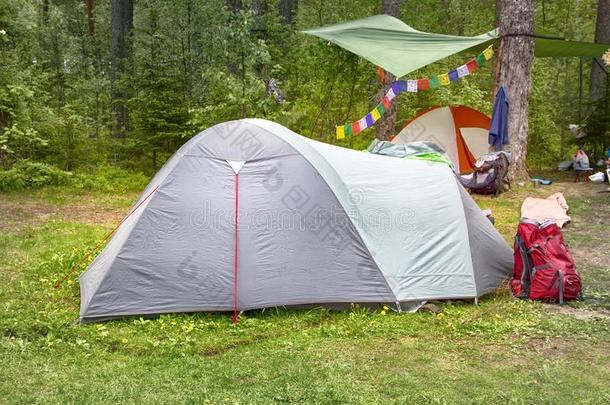 野营户外的和帐篷采用森林采用夏