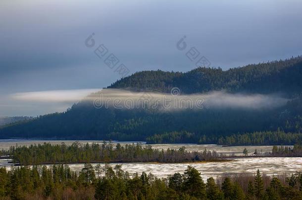 多雾的春季早晨森林和湖采用aux.可以